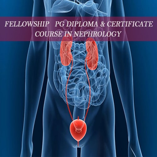 Nephrology Courses